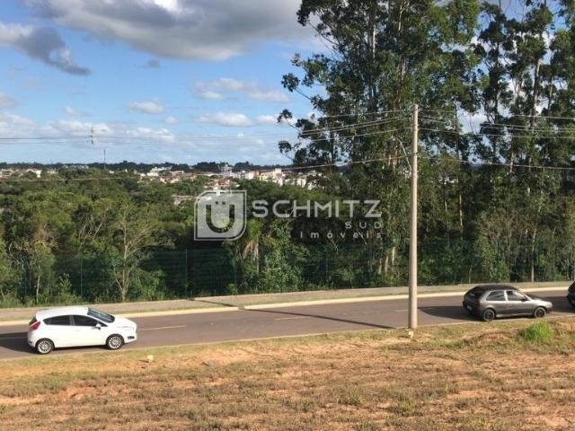 Terreno venda em Vila Angélica, Gravataí