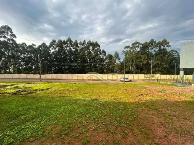 Terreno venda em Gravataí