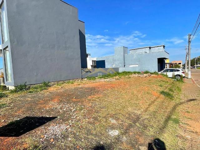 Terreno venda em Gravataí