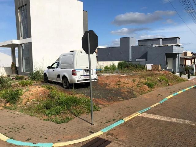Terreno venda em Gravataí