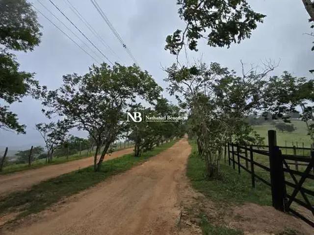 Terreno venda em Região Geográfica Imediata de Caruaru, Gravata