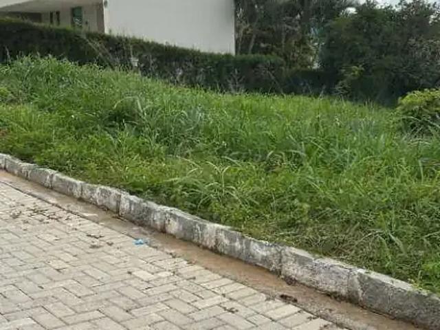 Terreno venda em Região Geográfica Imediata de Caruaru, Gravata