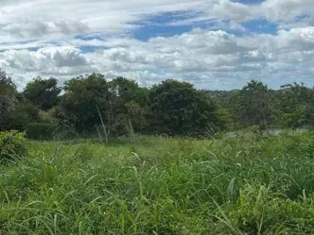 Terreno venda em Região Geográfica Imediata de Caruaru, Gravata
