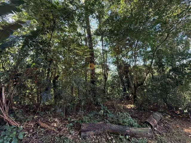 Terreno venda em Região Geográfica Imediata do Rio de Janeiro, Região Metropolitana do Rio de Janeiro