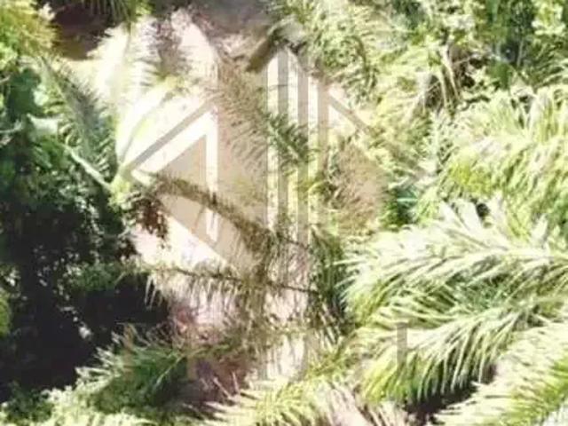 Terreno venda em Região Imediata de Santos, Região Metropolitana da Baixada Santista