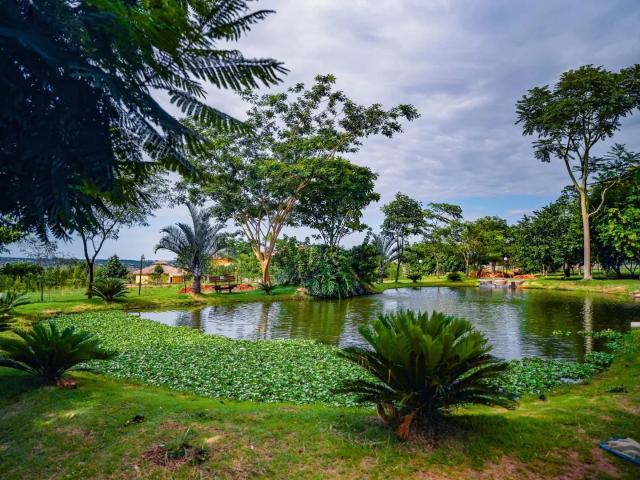 Terreno venda em Região Geográfica Imediata de Goiânia, Hidrolândia