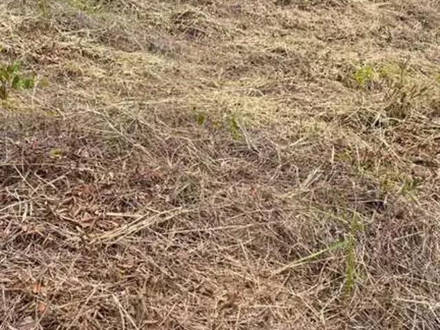 Terreno venda em Região Geográfica Imediata de Ipatinga, Iapu