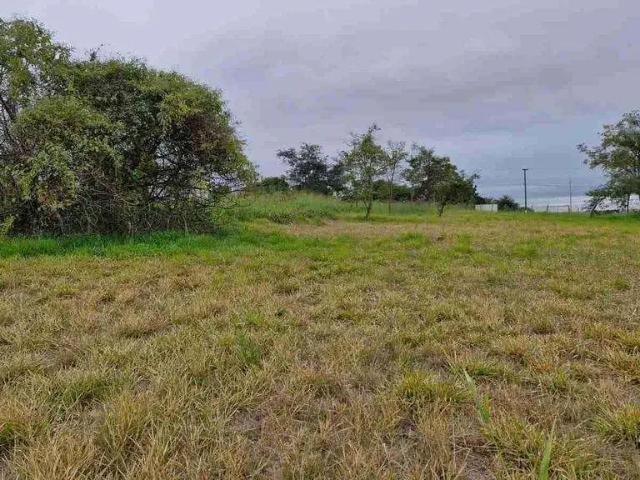 Terreno venda em Região Geográfica Imediata de Londrina, Ibiporã