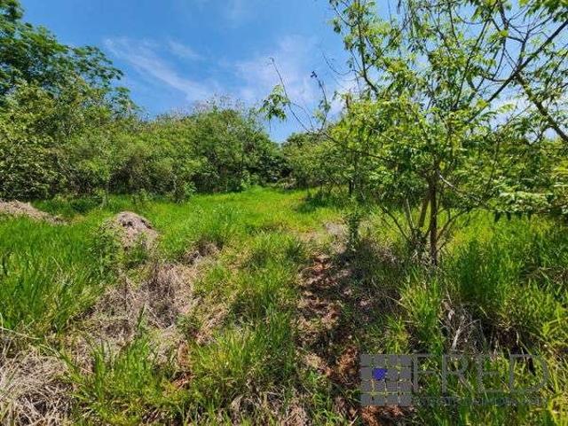 Terreno venda em Região Geográfica Imediata de Londrina, Ibiporã