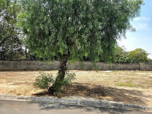 Terreno venda em Região Imediata de São José do Rio Preto, Região Metropolitana de São José do Rio Preto