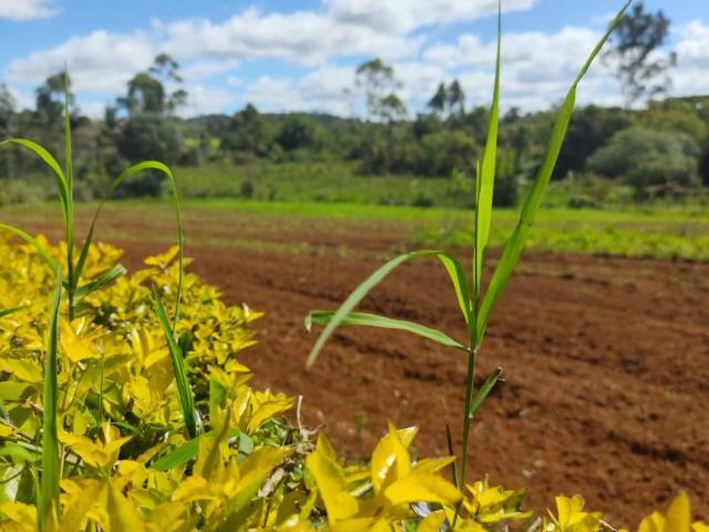 Terreno venda em Ibiúna