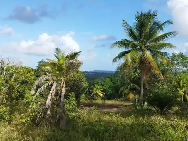 Terreno venda em Região Geográfica Imediata do Recife, Região Metropolitana do Recife