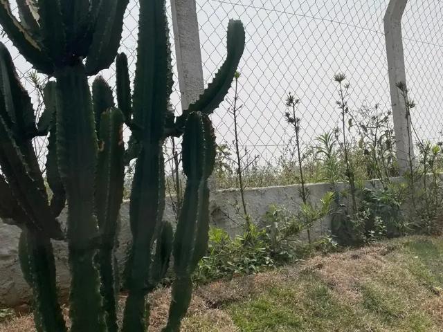 Terreno venda em Região Imediata de São José dos Campos, Região Metropolitana do Vale do Paraíba e Litoral Norte