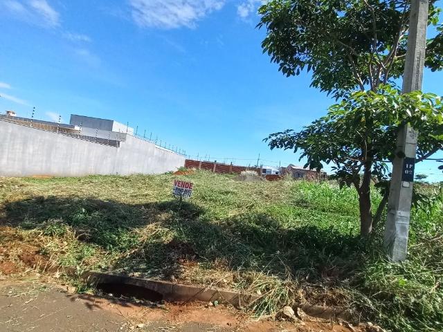 Terreno venda em Região Geográfica Imediata de Maringá, Iguaraçu