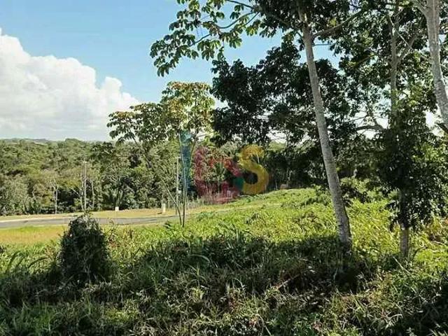 Terreno venda em Região Geográfica Imediata de Ilhéus – Itabuna, Ilhéus