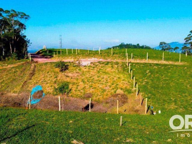 Terreno venda em Ilhota, Centro