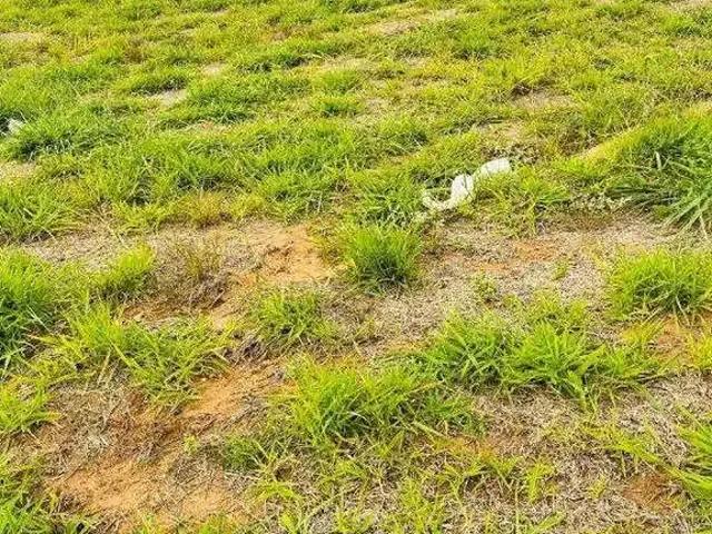 Terreno venda em Região Imediata de Campinas, Região Metropolitana de Campinas
