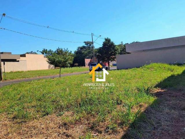Terreno venda em Centro, Ipiguá