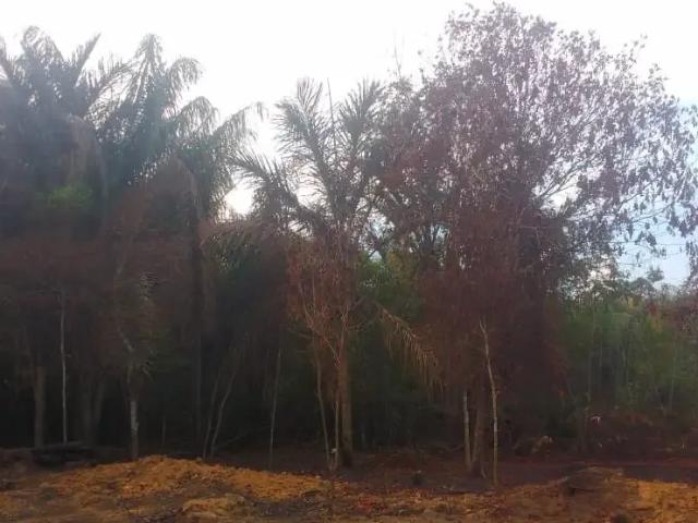 Terreno venda em Região Geográfica Imediata de Manaus, Caapiranga
