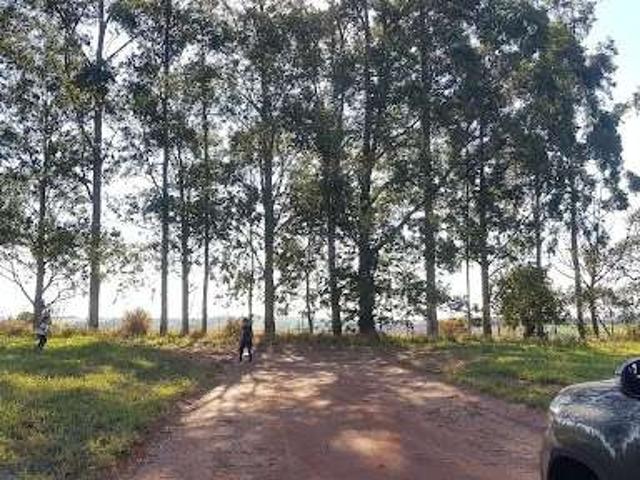 Terreno venda em Região Imediata de Avaré, Itaí