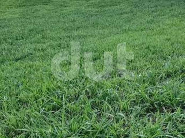 Terreno venda em Itatiba