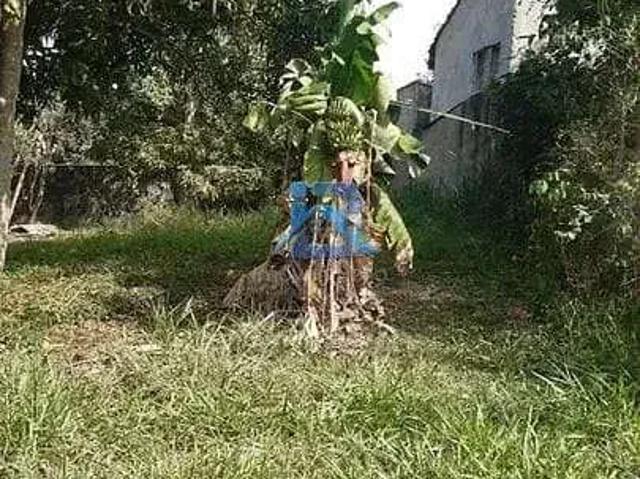 Terreno venda em Região Imediata de Caraguatatuba-Ubatuba-São Sebastião, Região Metropolitana do Vale do Paraíba e Litoral Norte