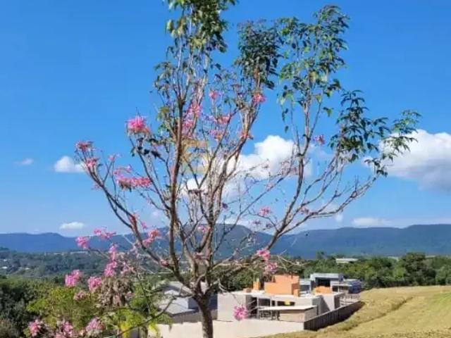 Terreno venda em Região Imediata de Jundiaí, Itupeva