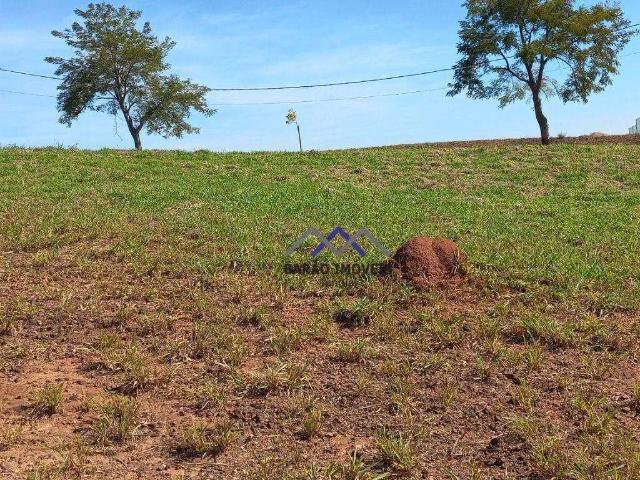 Terreno venda em Região Geográfica Imediata de Loanda, Santa Mônica