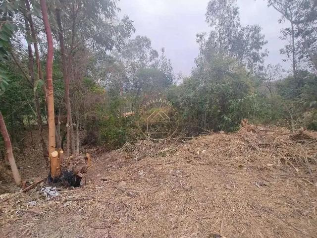 Terreno venda em Região Imediata de Sorocaba, Região Metropolitana de Sorocaba
