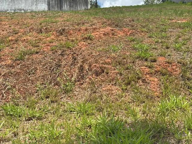 Terreno venda em Vila Marielle Franco, Jaboatão dos Guararapes