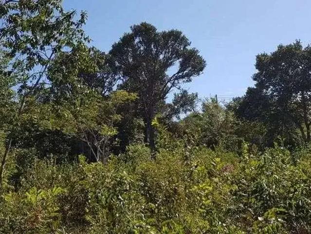 Terreno venda em Região Geográfica Imediata de Belo Horizonte, Região Metropolitana de Belo Horizonte