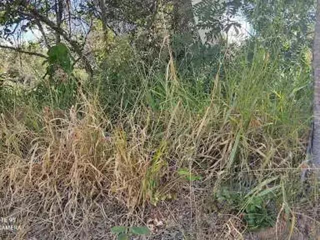 Terreno venda em Região Geográfica Imediata de Belo Horizonte, Região Metropolitana de Belo Horizonte