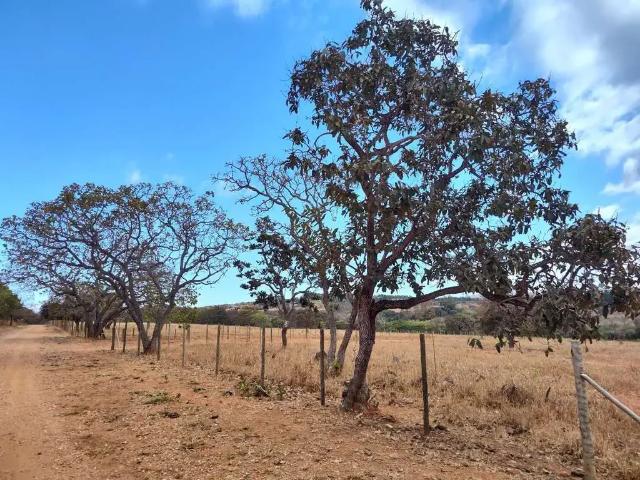 Terreno venda em Região Geográfica Imediata de Belo Horizonte, Região Metropolitana de Belo Horizonte