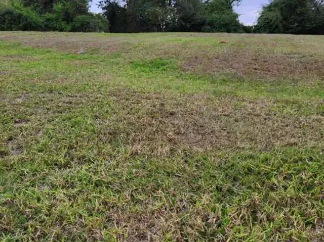 Terreno venda em Região Imediata de São José dos Campos, Região Metropolitana do Vale do Paraíba e Litoral Norte