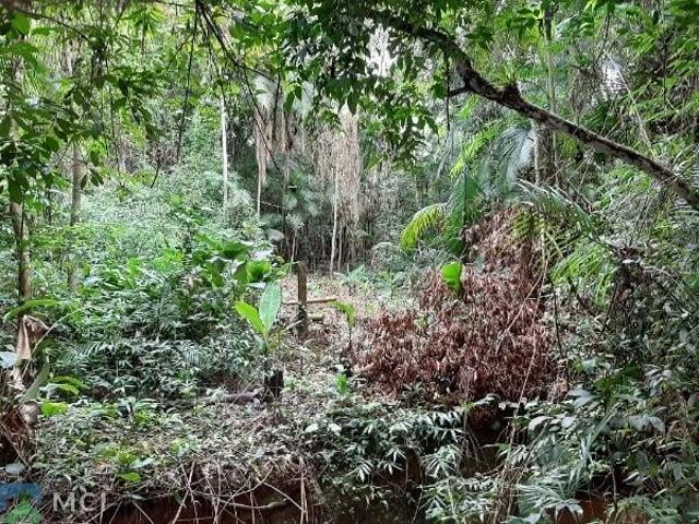 Terreno venda em Região Geográfica Imediata de Joinville, Jaraguá do Sul