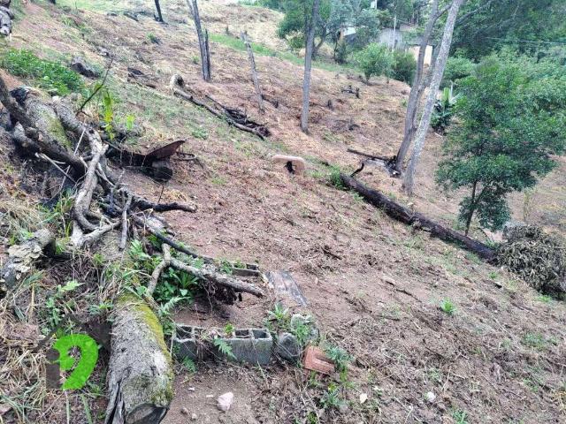 Terreno venda em Jarinu