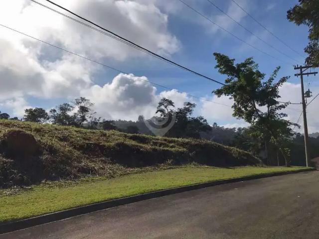 Terreno venda em Jarinu