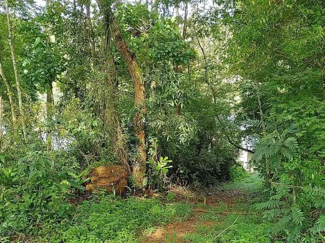 Terreno venda em Região Geográfica Imediata de Juiz de Fora, Juiz de Fora