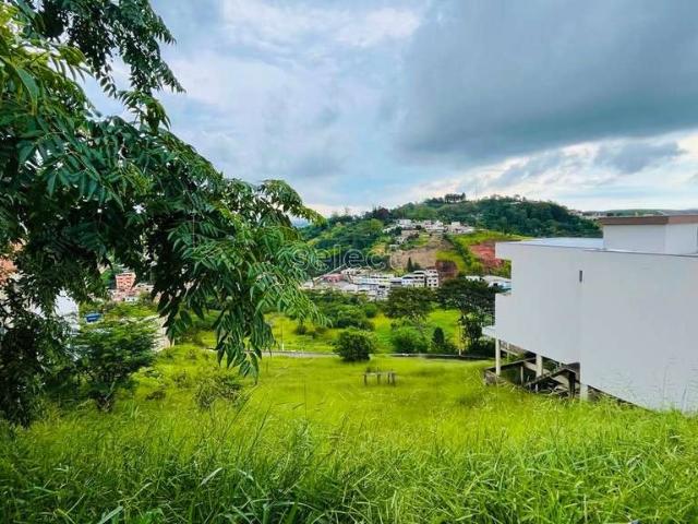 Terreno venda em Grama, Juiz de Fora