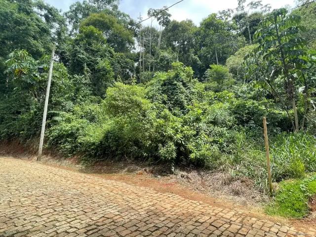 Terreno venda em Região Geográfica Imediata de Juiz de Fora, Juiz de Fora