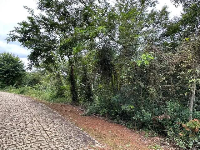 Terreno venda em Região Geográfica Imediata de Juiz de Fora, Juiz de Fora