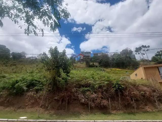 Terreno venda em Região Geográfica Imediata de Juiz de Fora, Juiz de Fora
