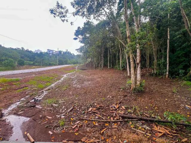Terreno venda em Região Geográfica Imediata de Juiz de Fora, Juiz de Fora