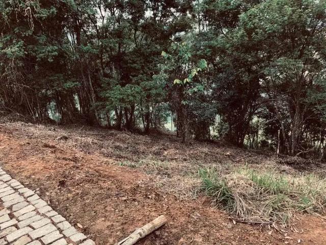 Terreno venda em Região Geográfica Imediata de Juiz de Fora, Juiz de Fora