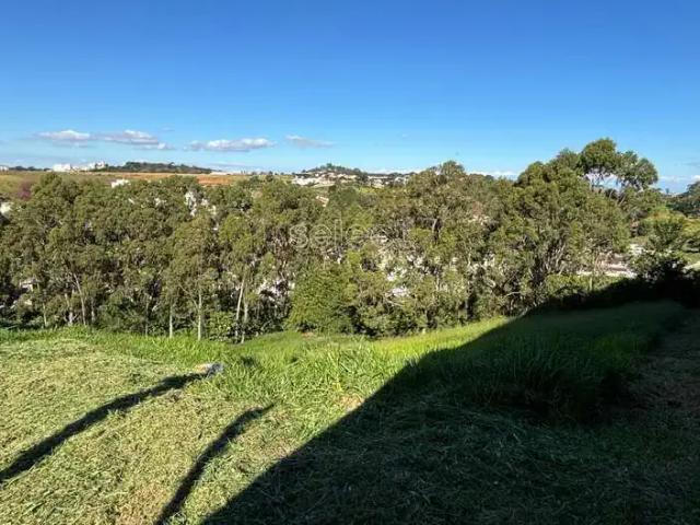 Terreno venda em Região Geográfica Imediata de Juiz de Fora, Juiz de Fora