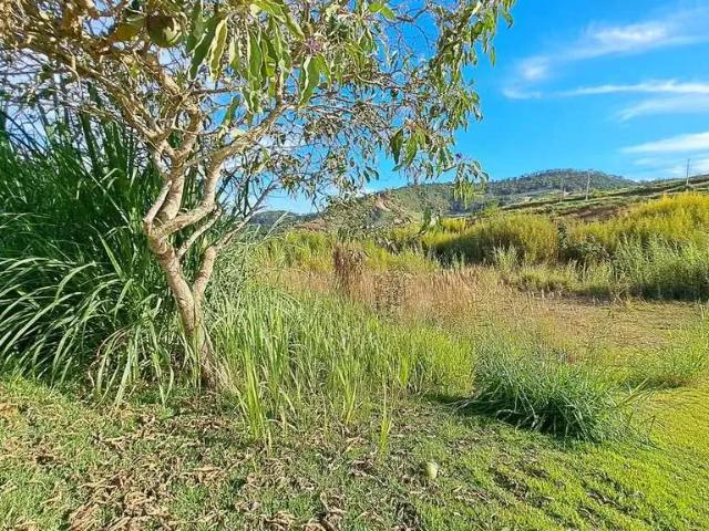 Terreno venda em Região Geográfica Imediata de Juiz de Fora, Juiz de Fora