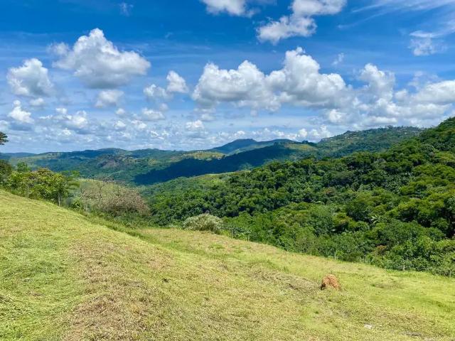 Terreno venda em Região Geográfica Imediata de Juiz de Fora, Juiz de Fora