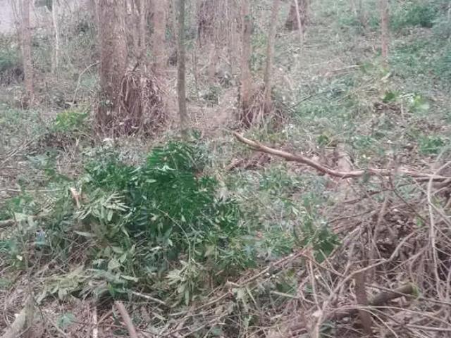 Terreno venda em Região Imediata de Jundiaí, Jundiaí