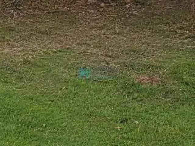 Terreno venda em Região Geográfica Imediata de Belo Horizonte, Região Metropolitana de Belo Horizonte