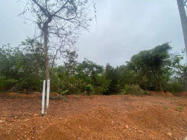 Terreno venda em Várzea, Lagoa Santa